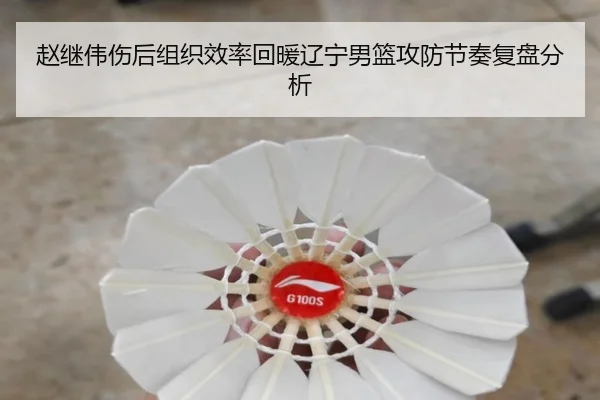 赵继伟伤后组织效率回暖辽宁男篮攻防节奏复盘分析